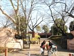 大森貝塚遺跡庭園1