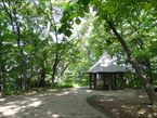 三井の森公園1