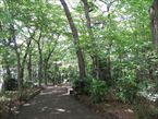 三井の森公園2