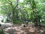 三井の森公園3