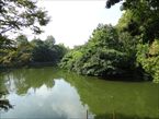 武蔵関公園7