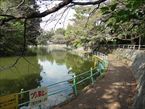 武蔵関公園10