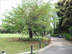 菅刈公園2