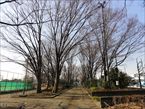 玉川野毛町公園2