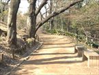 戸山公園6
