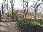 戸山公園9