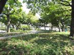 葭根公園4