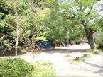 善福寺公園7