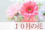 10月の花