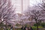 新宿中央公園2