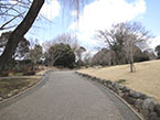 江古田の森公園3