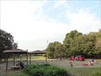 都立大泉中央公園7