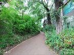 雷神山児童遊園9