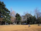 林試の森公園1