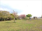 西郷山公園4