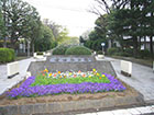 世田谷公園２