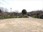 田柄梅林公園1