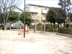 田柄梅林公園7