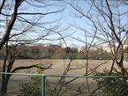 戸山公園11