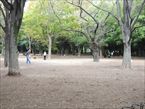 代々木公園6