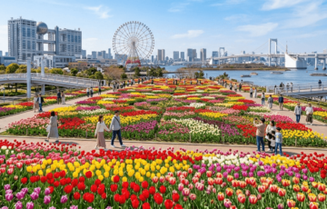 チューリップフェスティバル