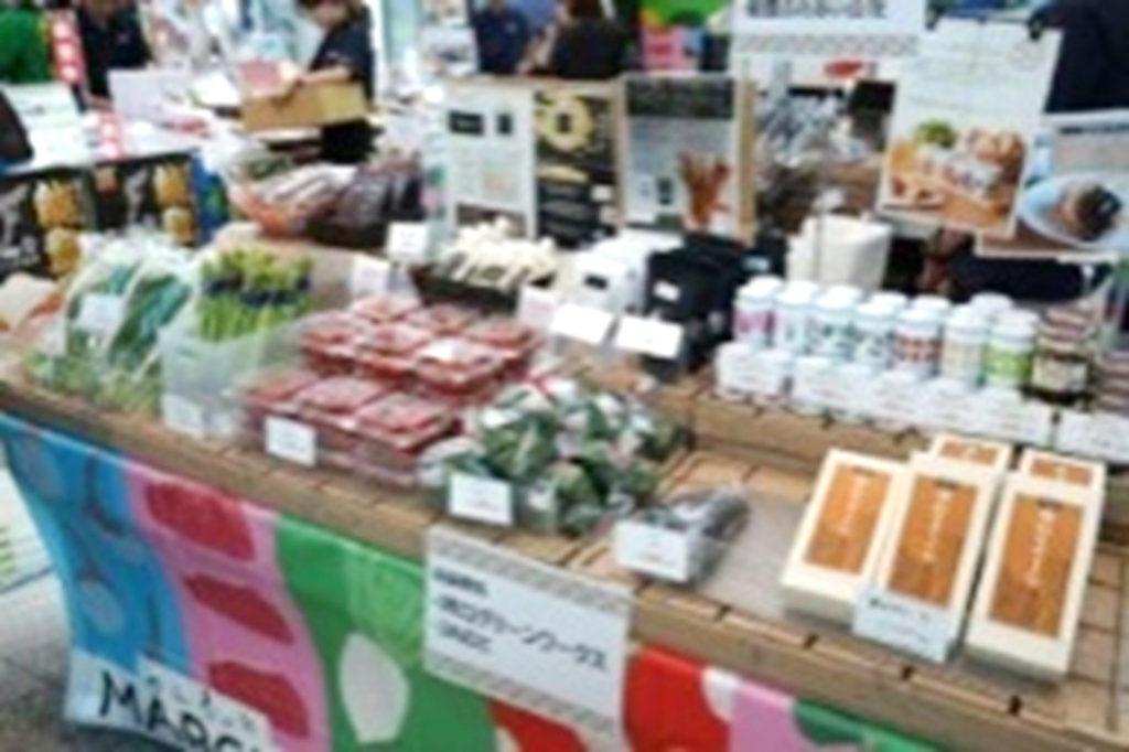 昨年度の様子①