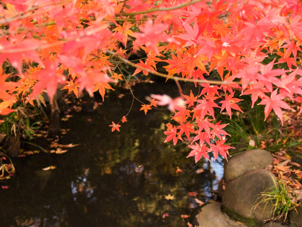 有栖川宮記念公園