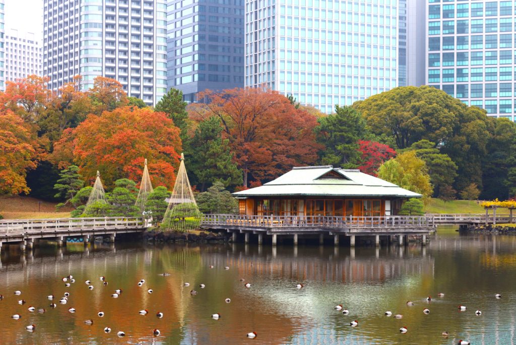 浜離宮恩賜庭園