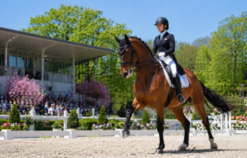 JRAホースショー