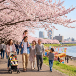 小松川千本桜まつり